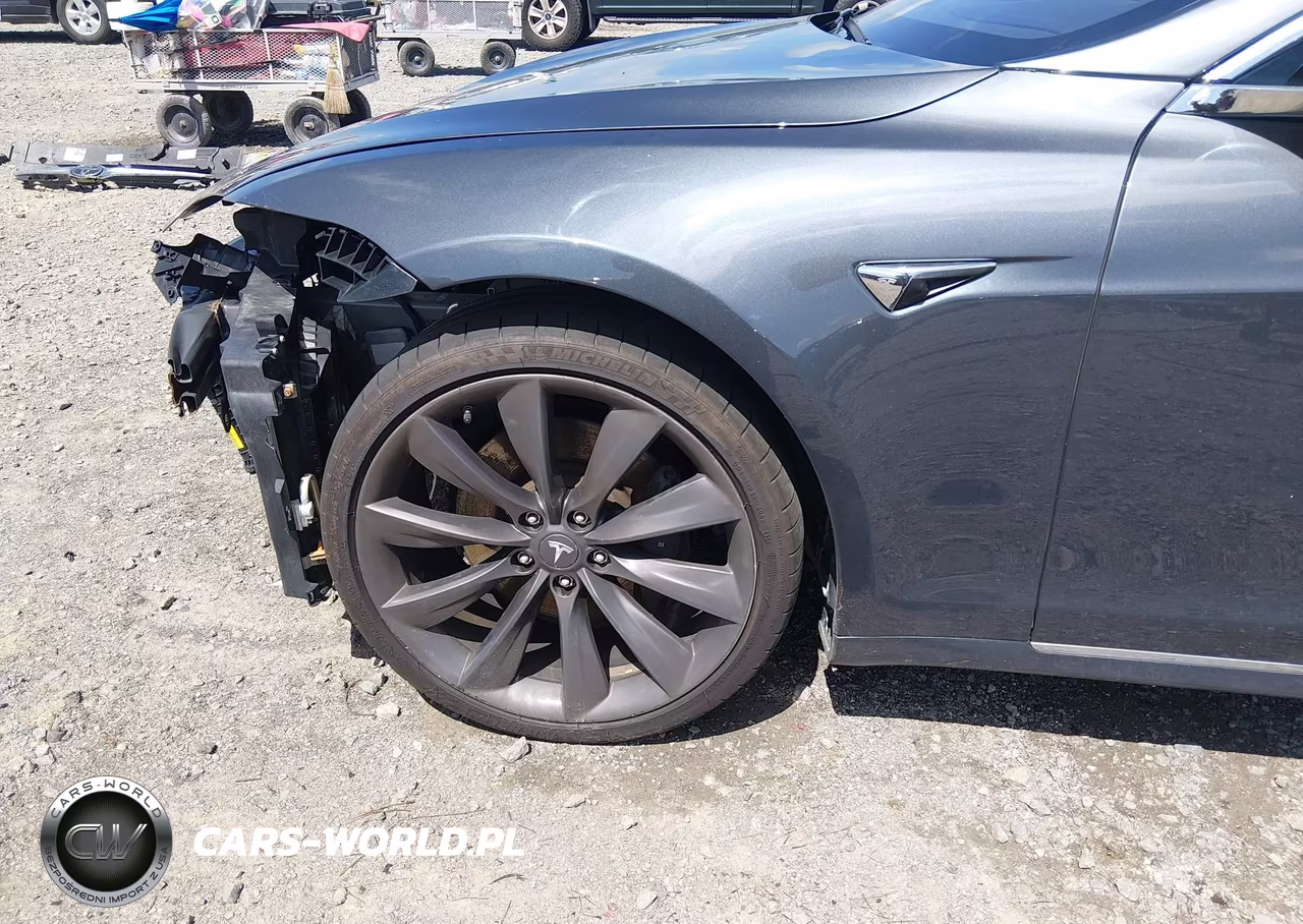 2017 Tesla Model S 100D-60D-75D-90D-P100D VIN:5YJSA1E20HF224629 - 20