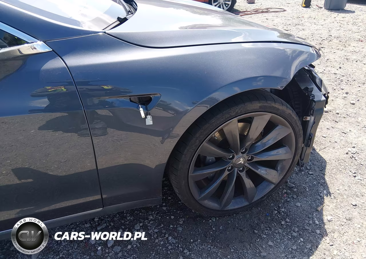 2017 Tesla Model S 100D-60D-75D-90D-P100D VIN:5YJSA1E20HF224629 - 21