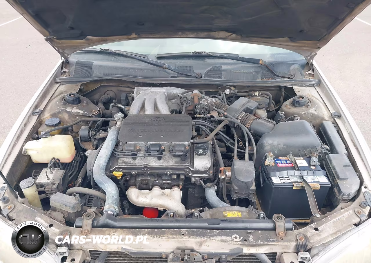 1997 Toyota Camry Le V6-Xle V6 VIN:JT2BF22K1V0003667 - 10