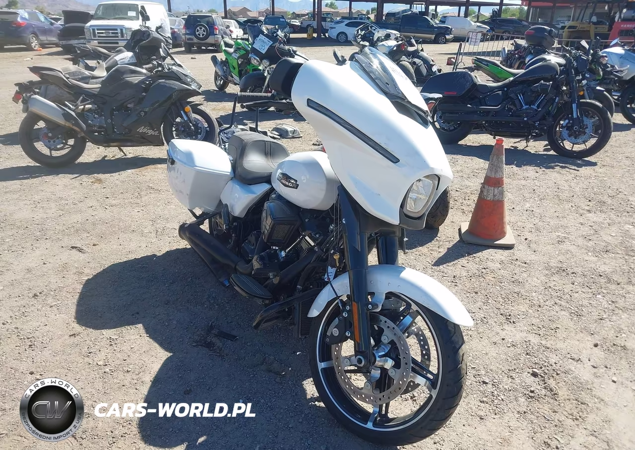2024 Harley-Davidson Flhx