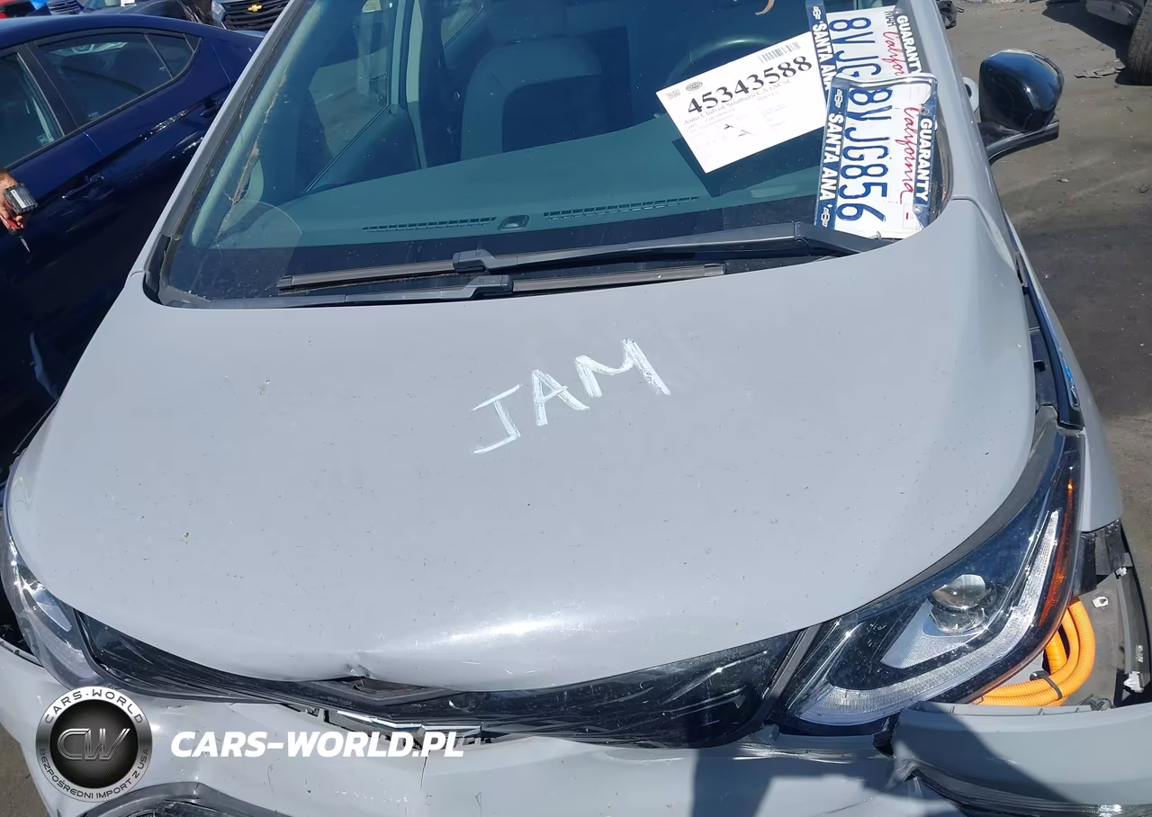 2021 Chevrolet Bolt Ev Fwd Lt VIN:1G1FY6S09M4107980 - 10