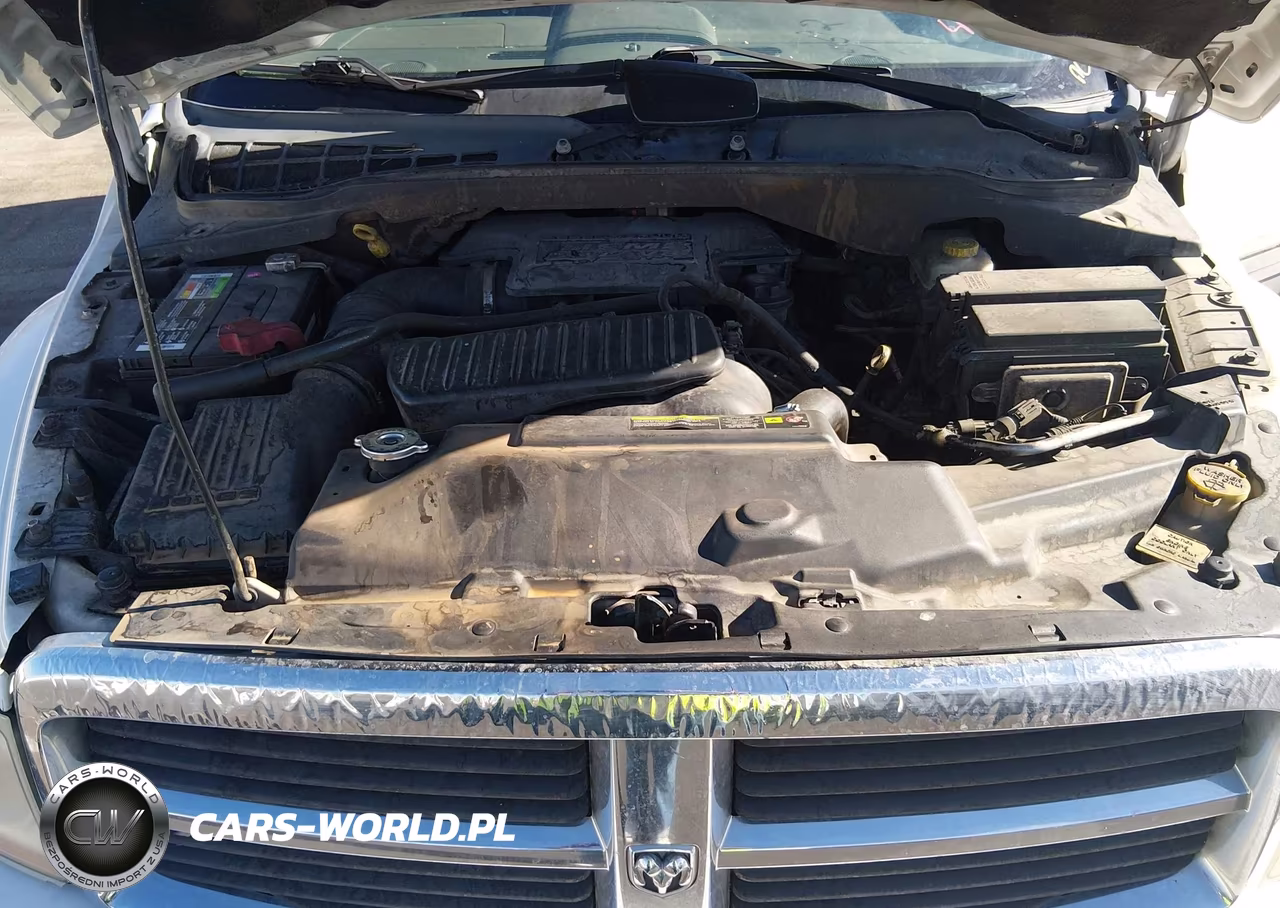 2005 Dodge Durango Limited VIN:1D4HD58D05F622732 - 10