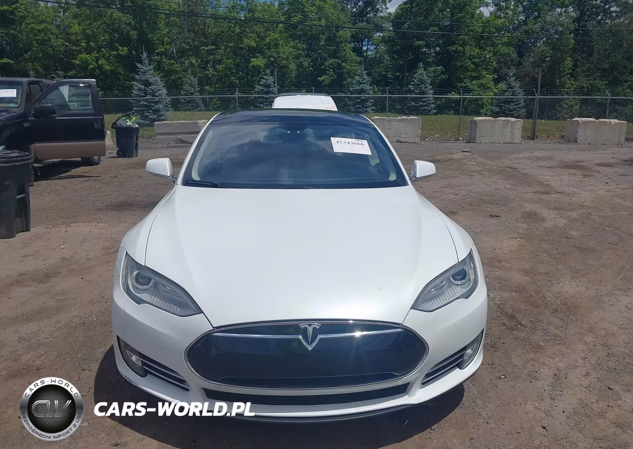 2012 Tesla Model S Performance-Signature Performance VIN:5YJSA1CP3CFP03263 - 12