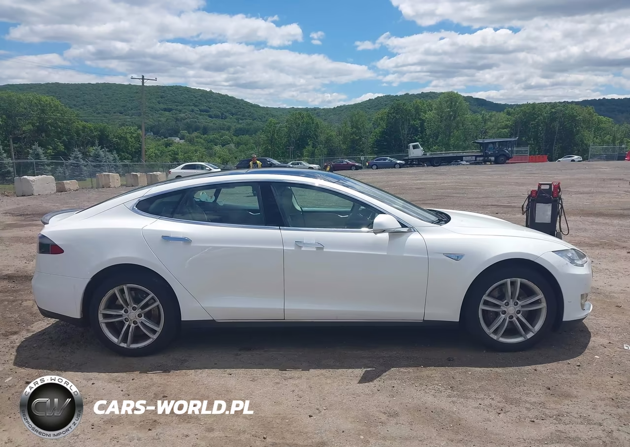 2012 Tesla Model S Performance-Signature Performance VIN:5YJSA1CP3CFP03263 - 13