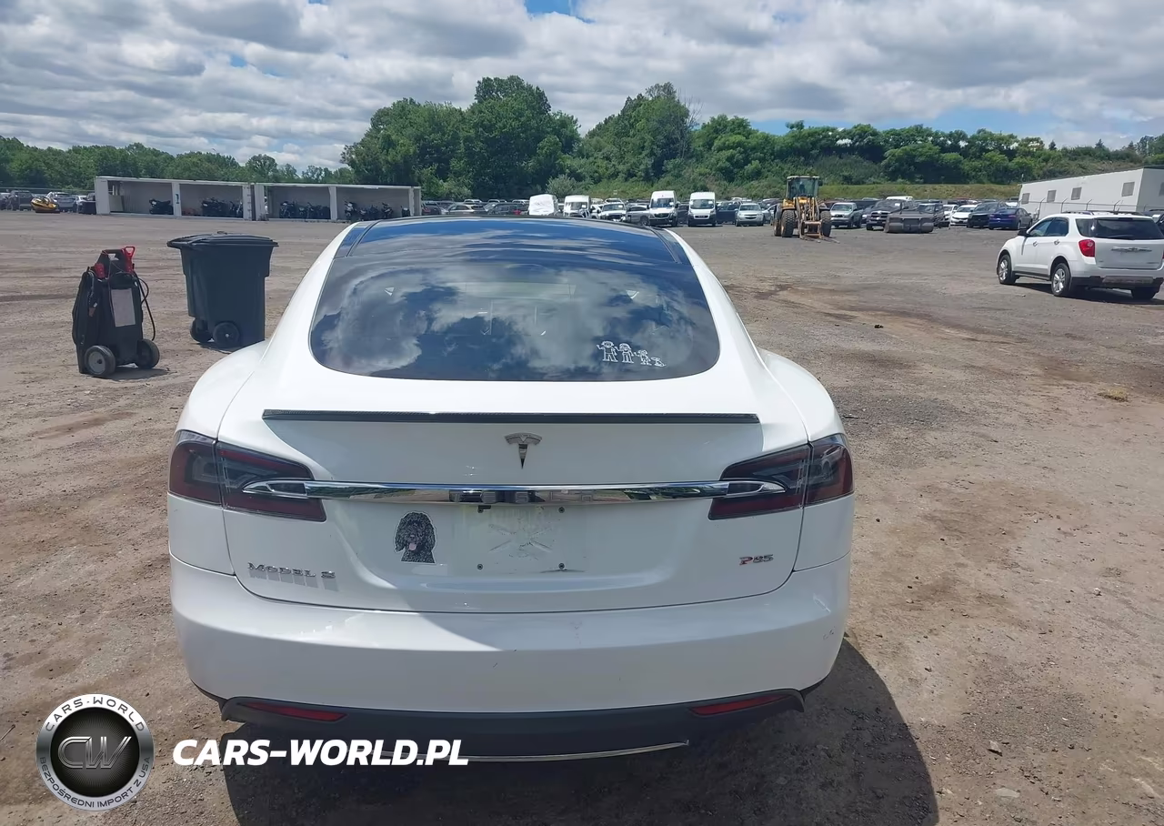 2012 Tesla Model S Performance-Signature Performance VIN:5YJSA1CP3CFP03263 - 16
