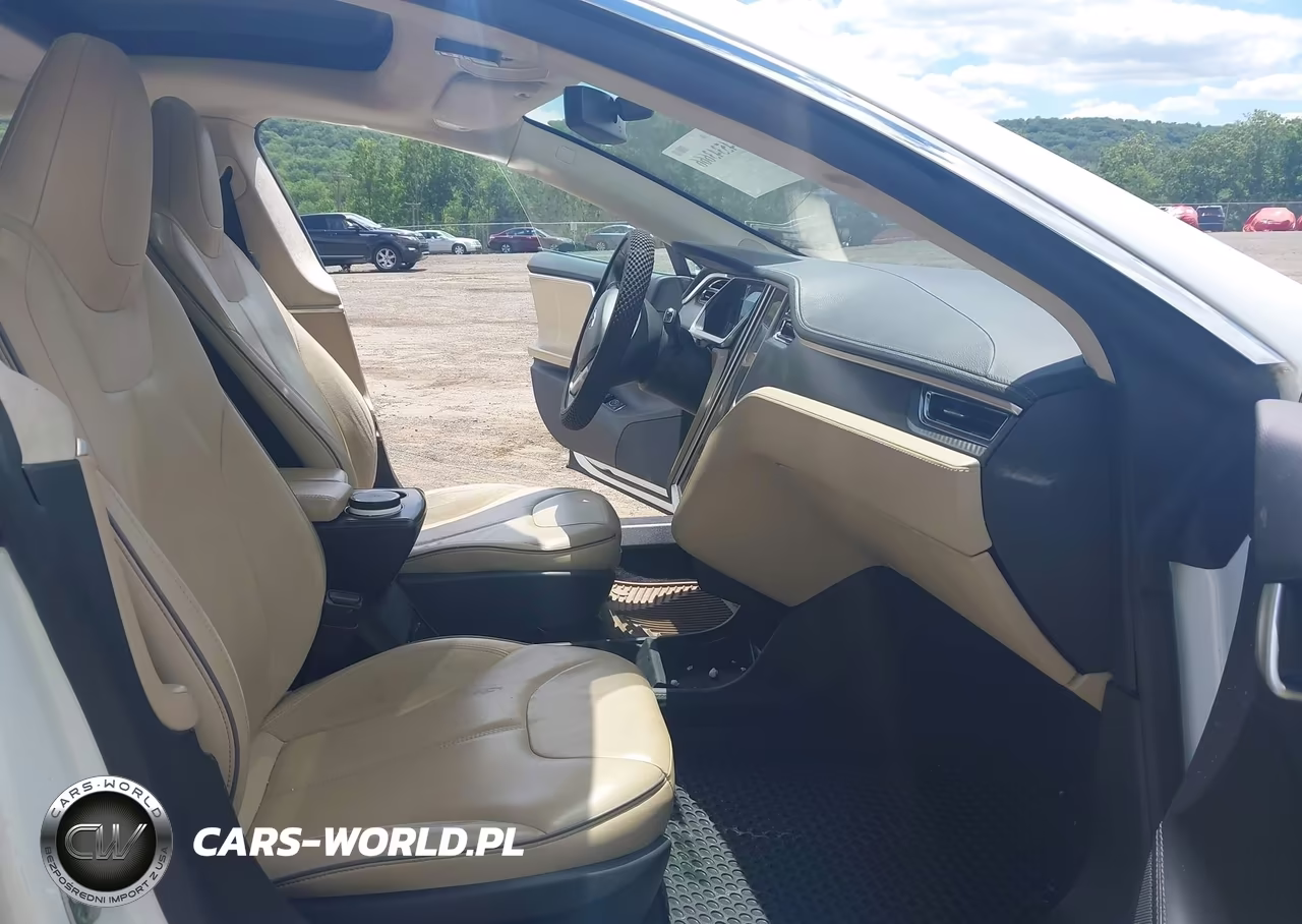 2012 Tesla Model S Performance-Signature Performance VIN:5YJSA1CP3CFP03263 - 5