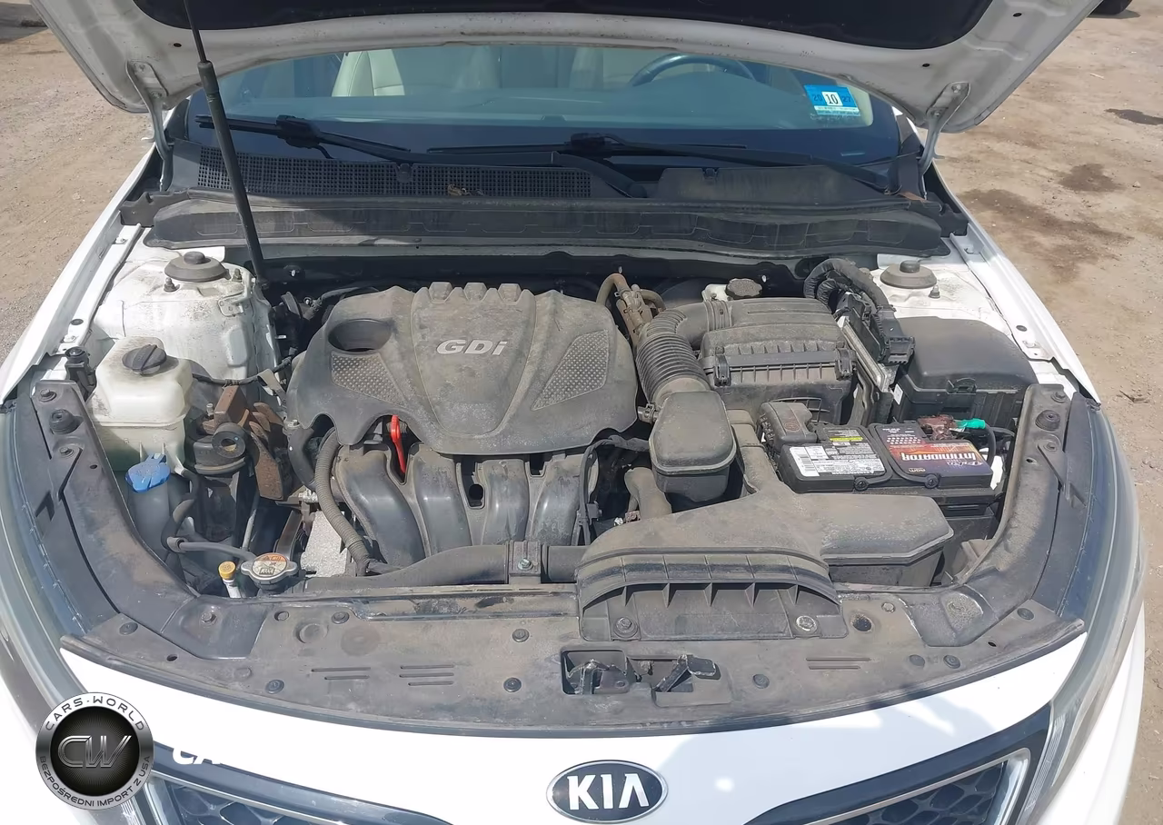 2015 Kia Optima Ex VIN:5XXGN4A73FG384849 - 10