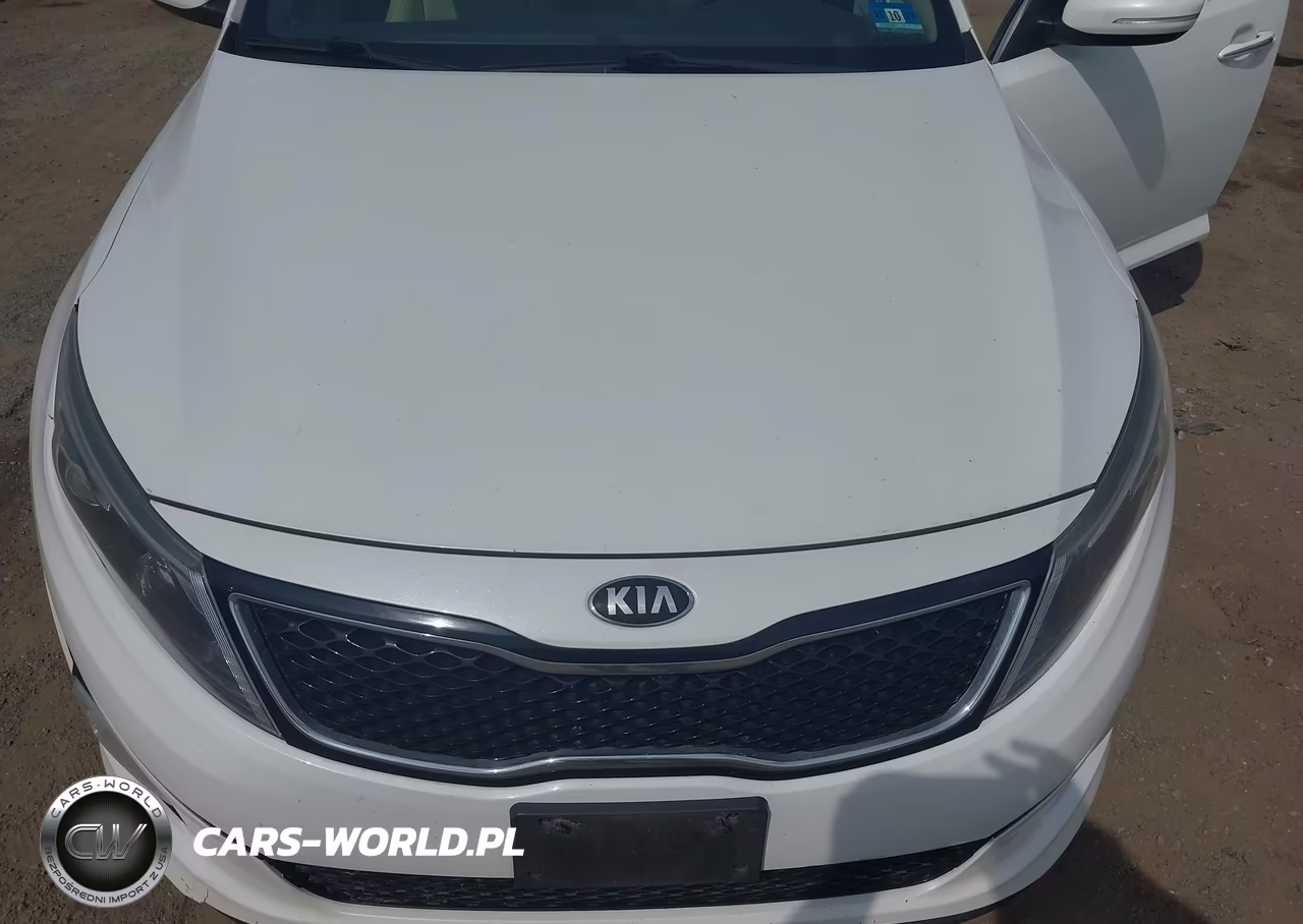 2015 Kia Optima Ex VIN:5XXGN4A73FG384849 - 6