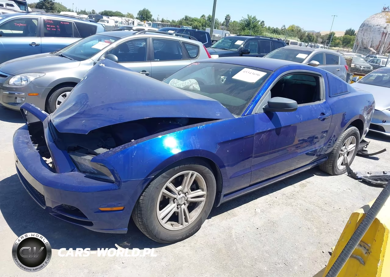 2014 Ford Mustang V6 VIN:1ZVBP8AMXE5278528 - 2