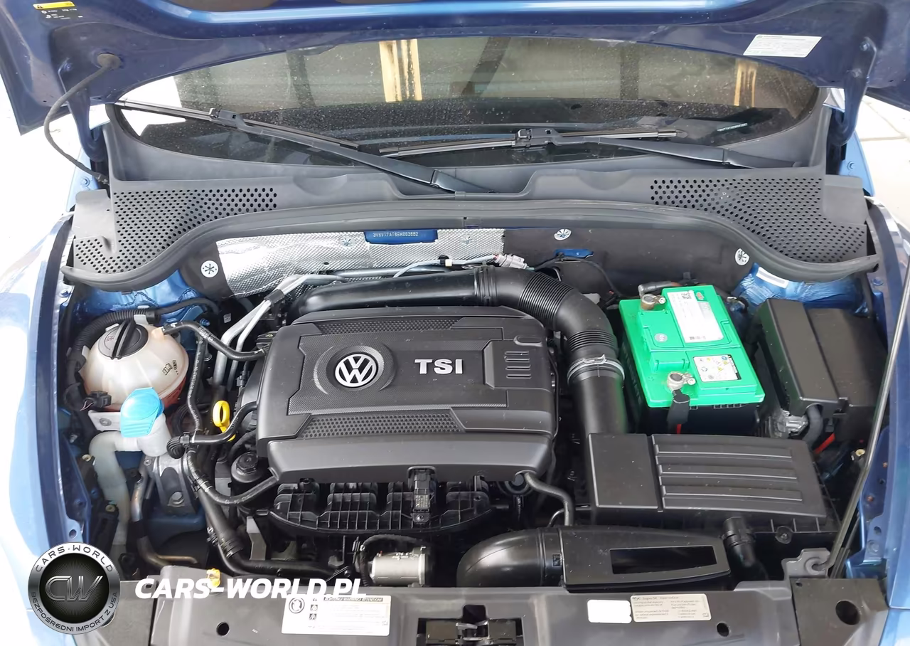 2014 Volkswagen Beetle 2.0T R-Line VIN:3VWVT7AT8EM663882 - 10