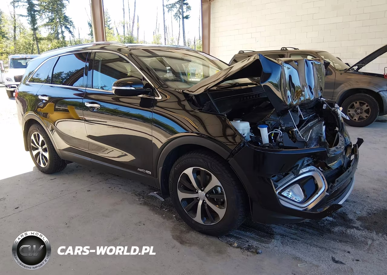 2016 Kia Sorento 3.3L Ex – zdjęcie 1 z 16