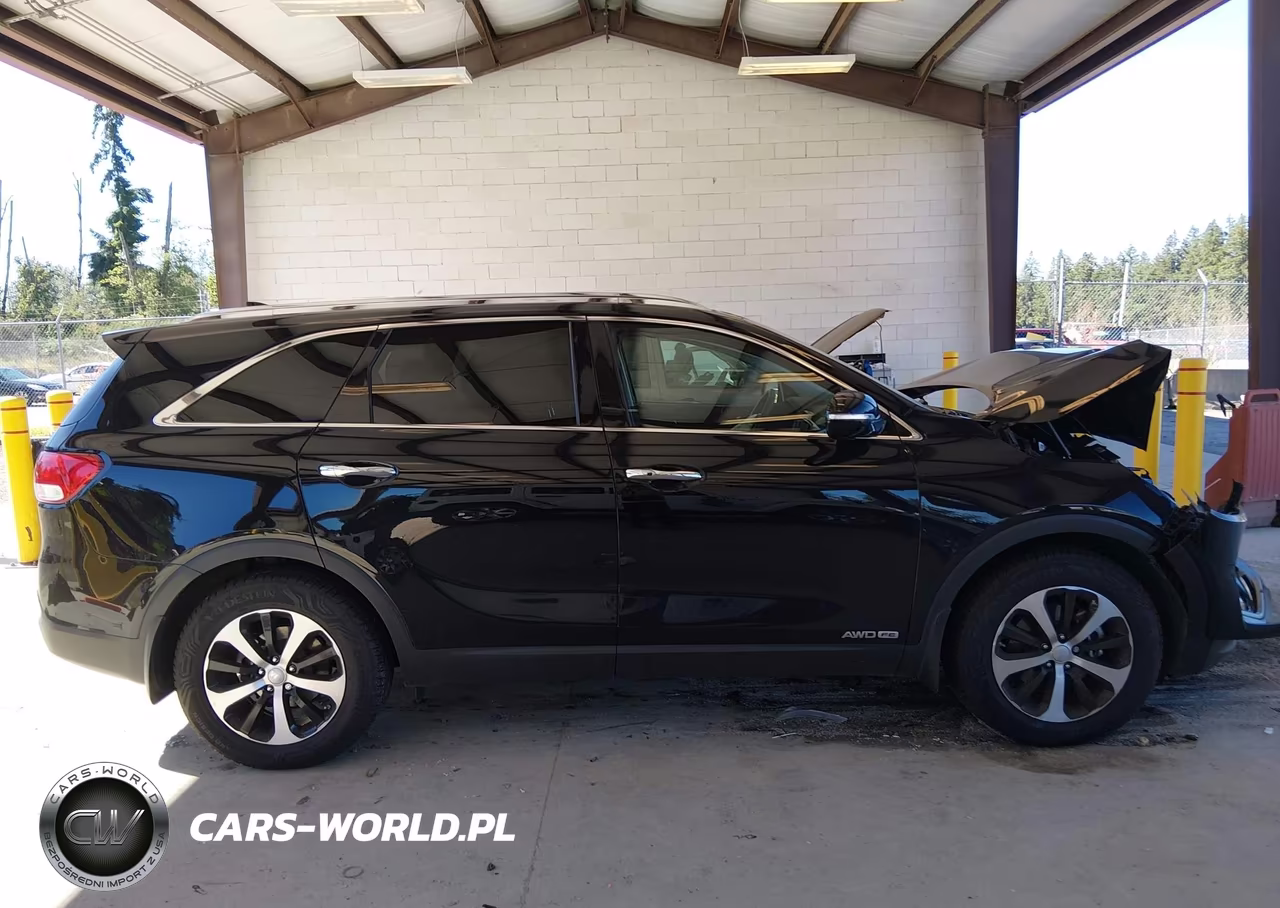 2016 Kia Sorento 3.3L Ex VIN:5XYPHDA58GG159572 - 13