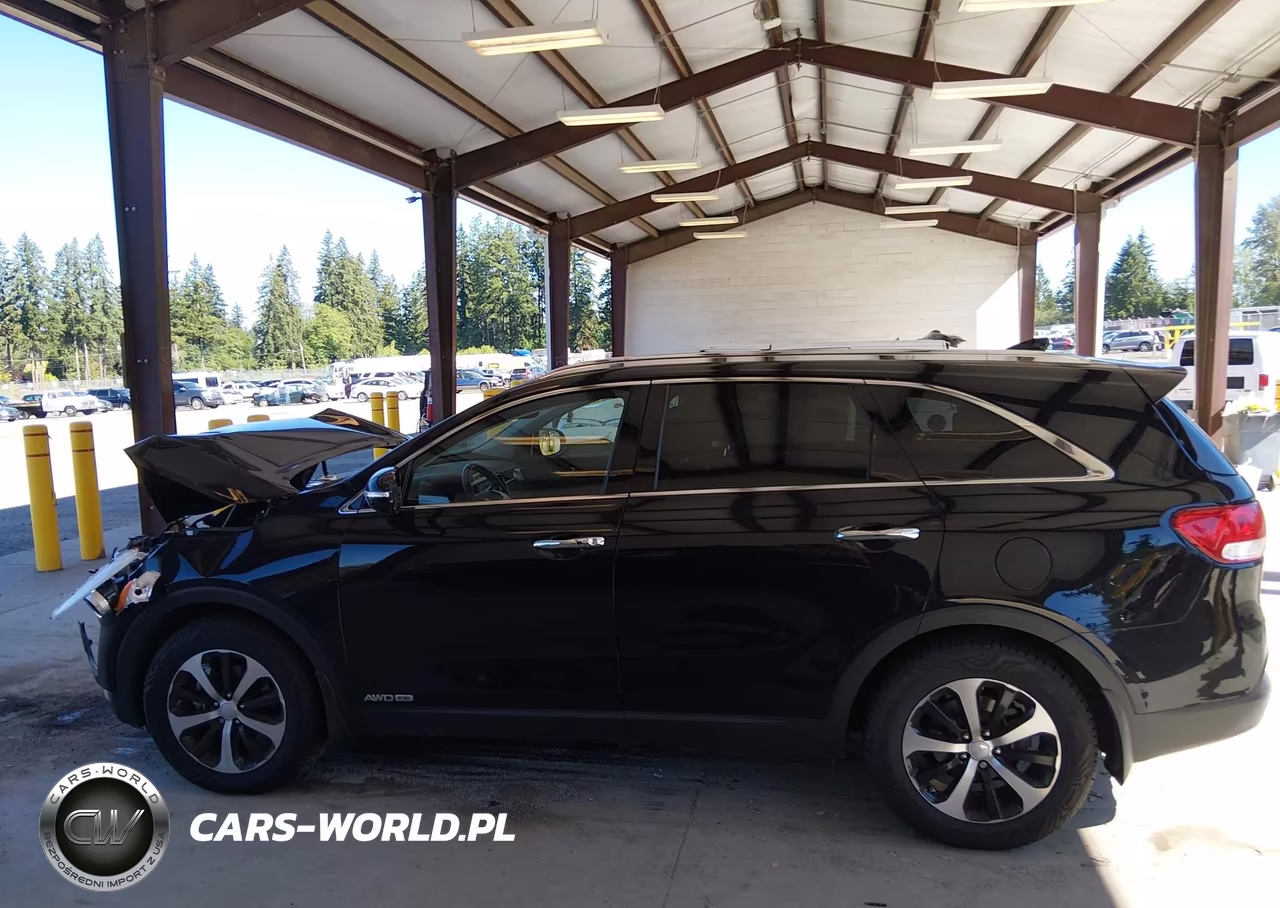 2016 Kia Sorento 3.3L Ex VIN:5XYPHDA58GG159572 - 14