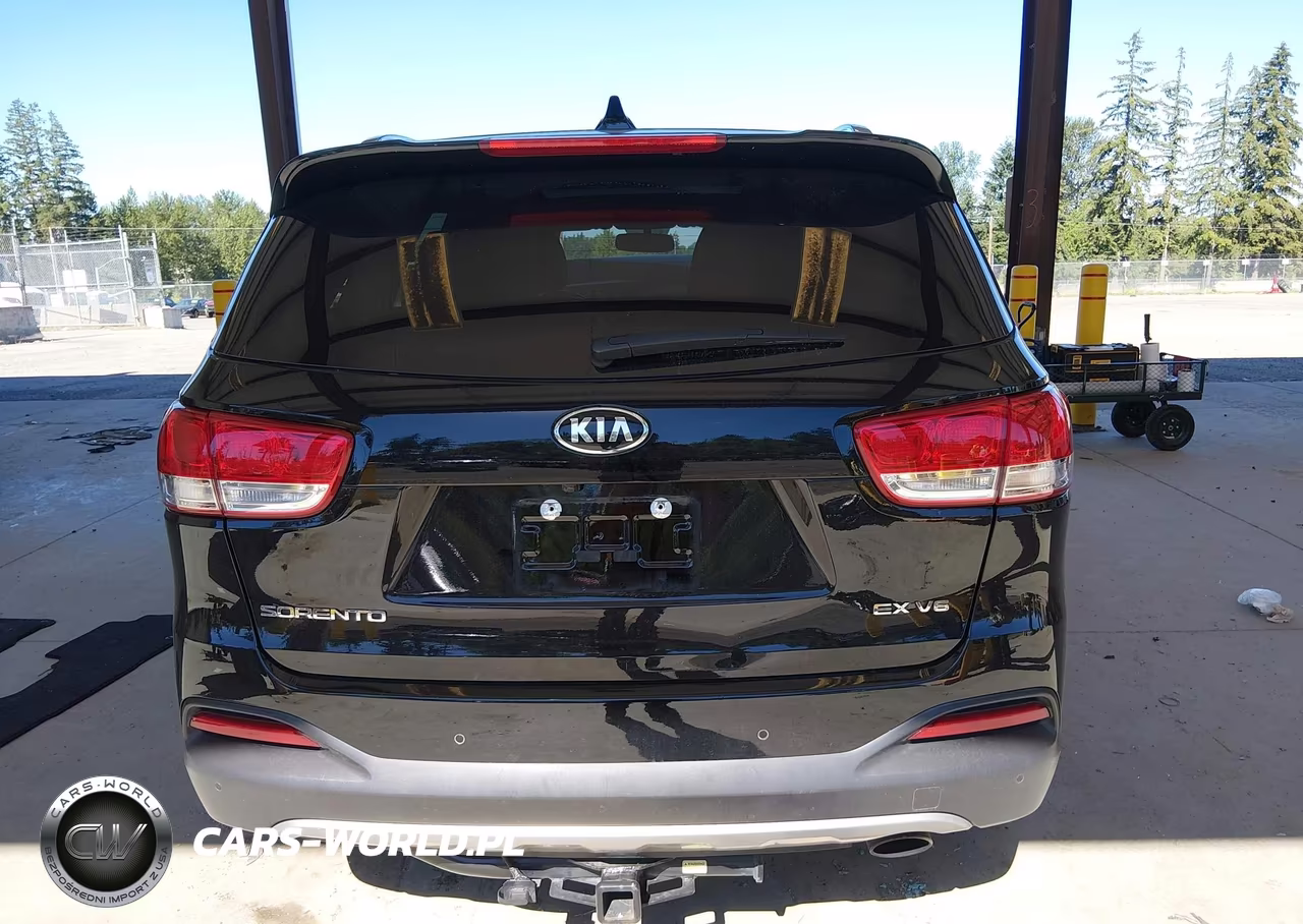 2016 Kia Sorento 3.3L Ex VIN:5XYPHDA58GG159572 - 16