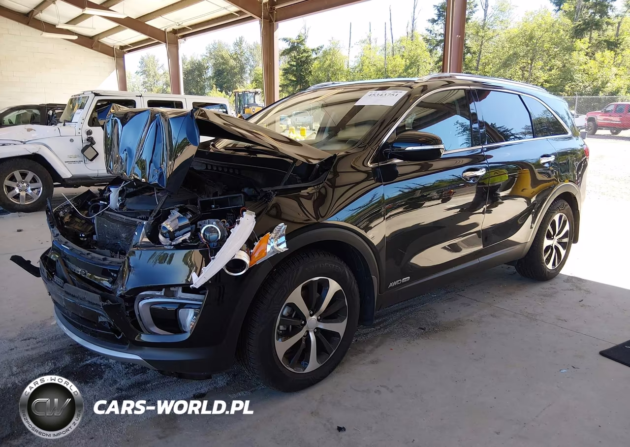 2016 Kia Sorento 3.3L Ex VIN:5XYPHDA58GG159572 - 2