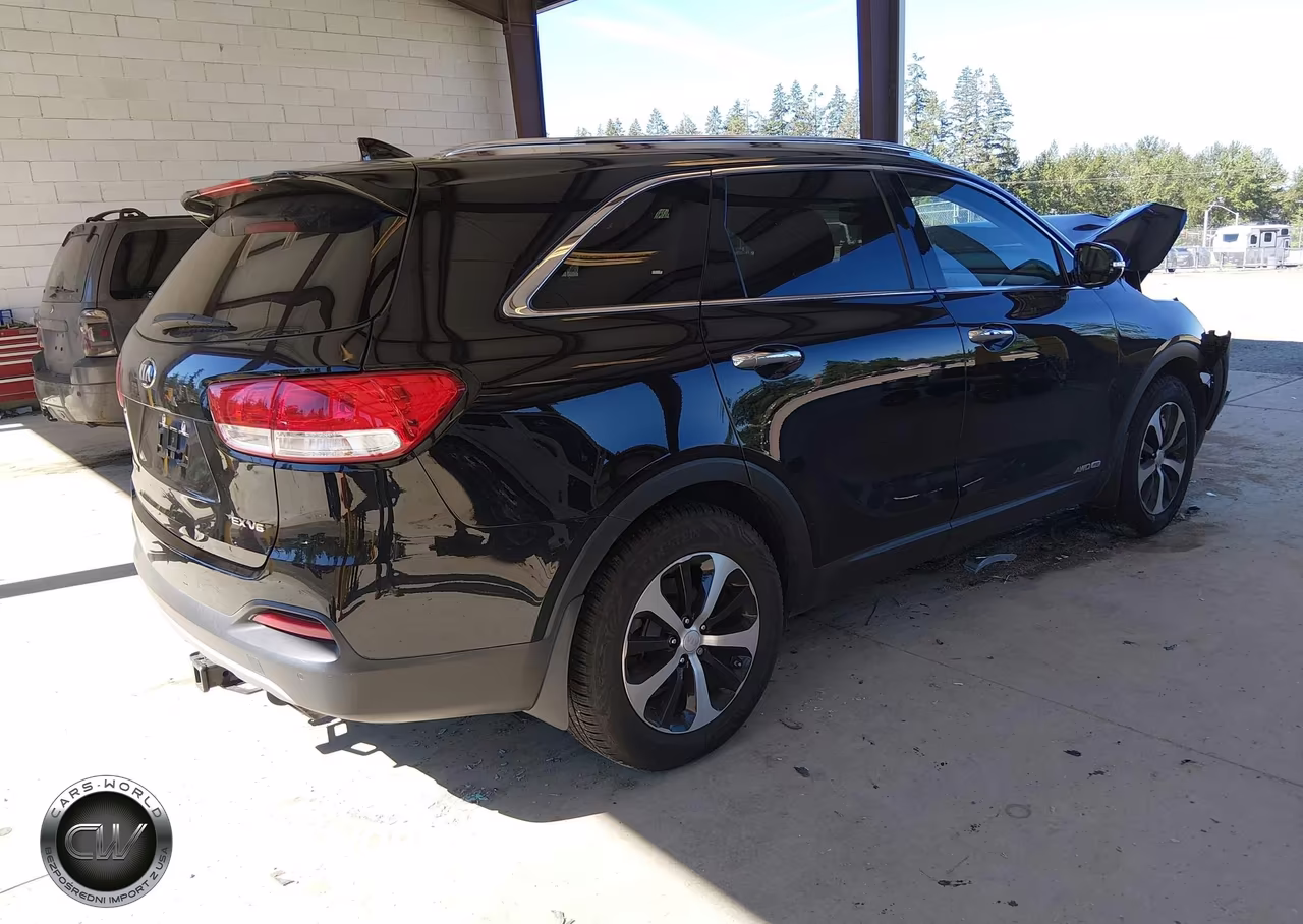 2016 Kia Sorento 3.3L Ex VIN:5XYPHDA58GG159572 - 4