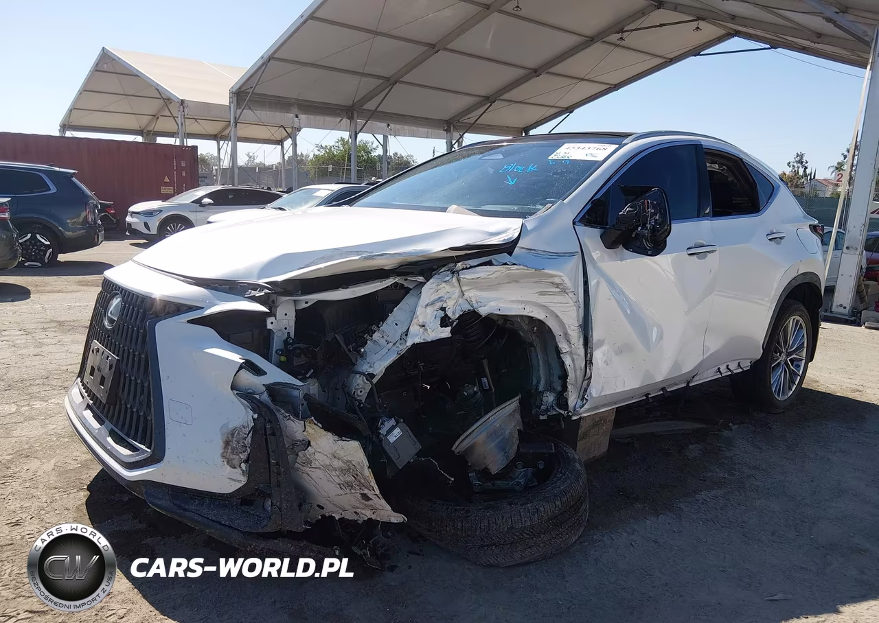 2024 Lexus Nx 350H Luxury VIN:JTJHKCEZXR2019269 - 6