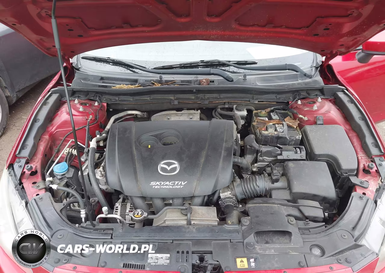 2014 Mazda Mazda3 I Sport VIN:JM1BM1U77E1144365 - 10