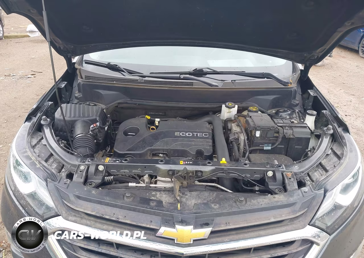 2019 Chevrolet Equinox Lt VIN:2GNAXKEV1K6227960 - 10