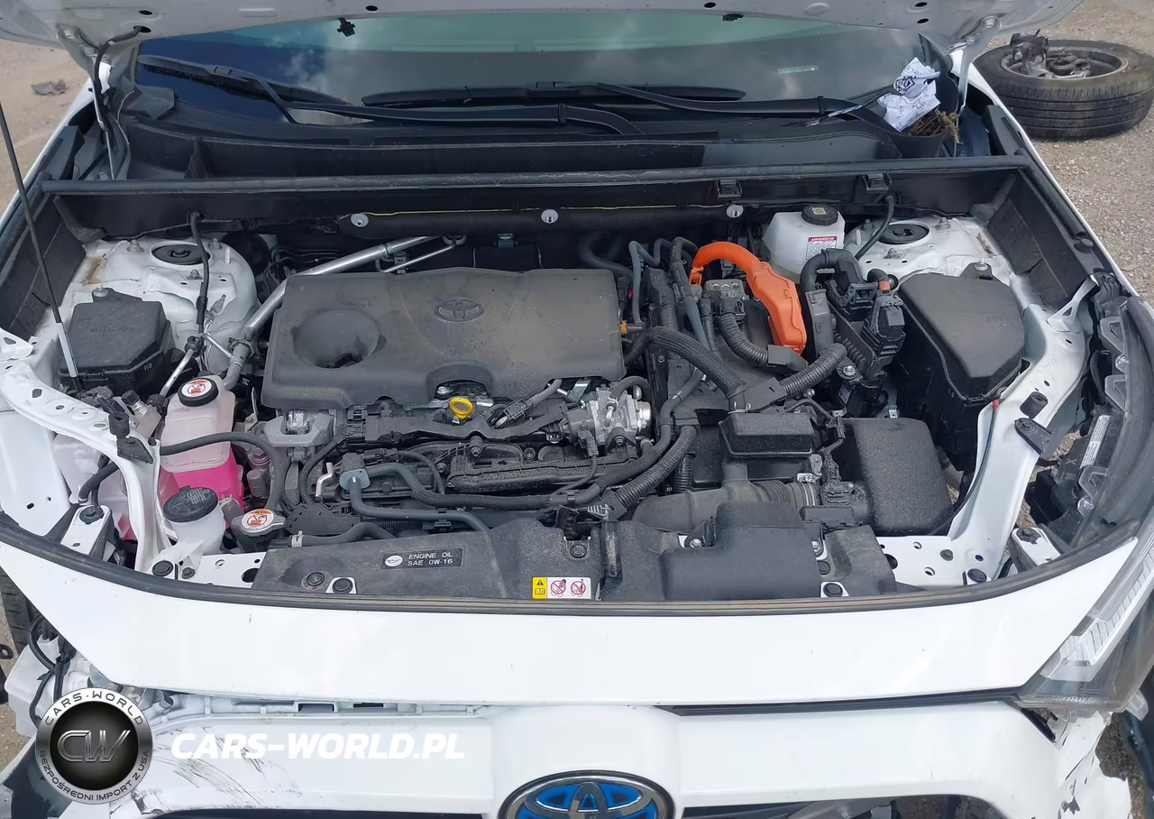 2024 Toyota Rav4 Hybrid Le VIN:JTMLWRFV1RD271609 - 10