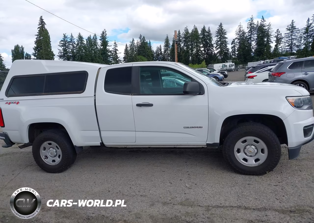 2019 Chevrolet Colorado Wt VIN:1GCHTBEA2K1141916 - 13
