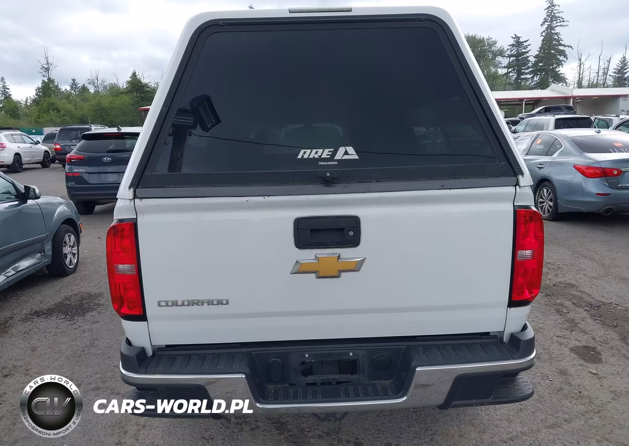 2019 Chevrolet Colorado Wt VIN:1GCHTBEA2K1141916 - 16