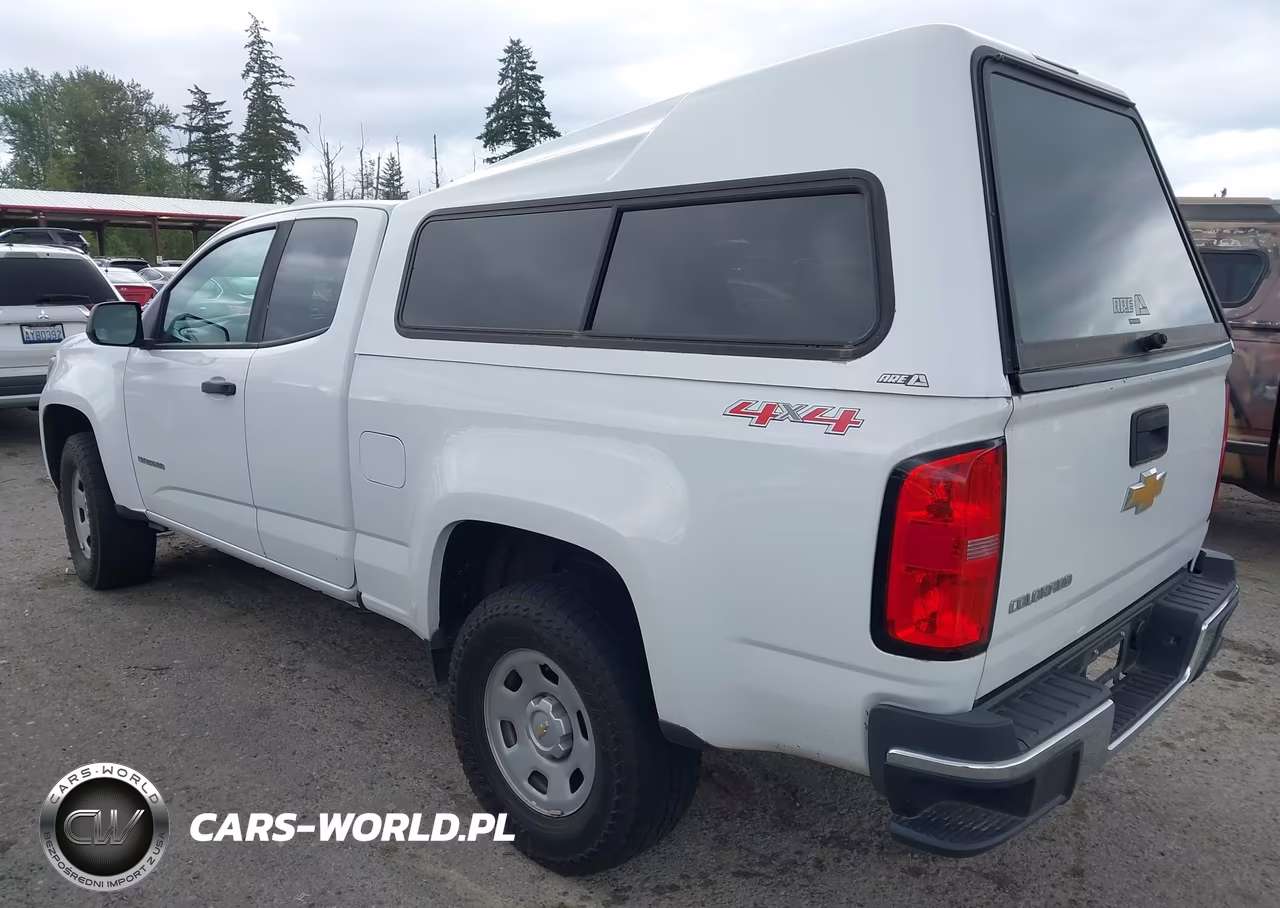 2019 Chevrolet Colorado Wt VIN:1GCHTBEA2K1141916 - 3
