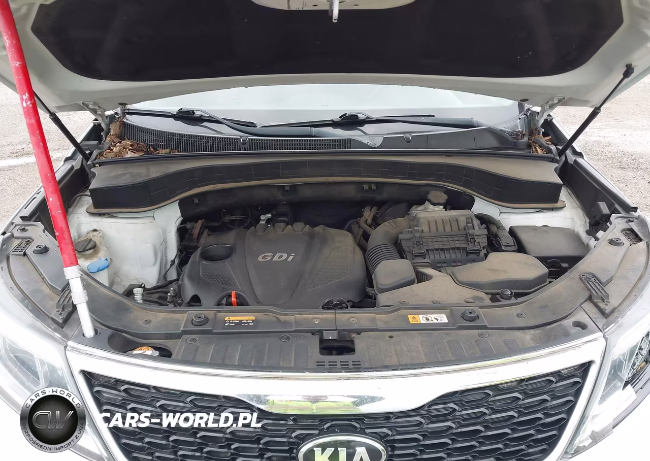 2015 Kia Sorento Lx VIN:5XYKTDA69FG565540 - 10