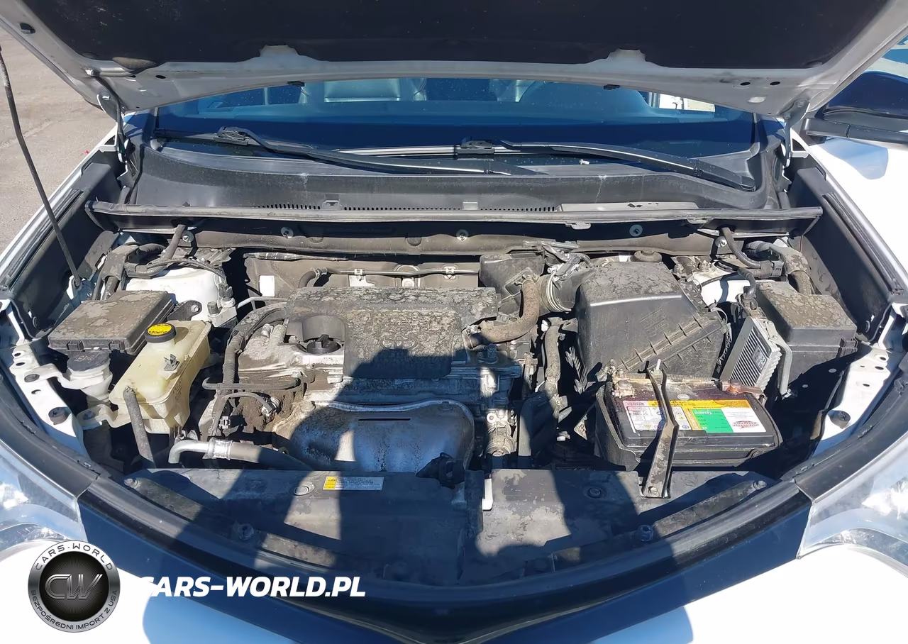 2016 Toyota Rav4 Se VIN:2T3JFREVXGW443984 - 10