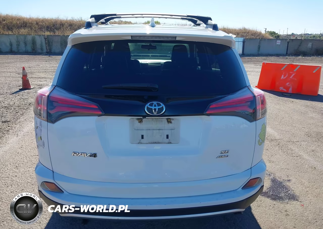 2016 Toyota Rav4 Se VIN:2T3JFREVXGW443984 - 16