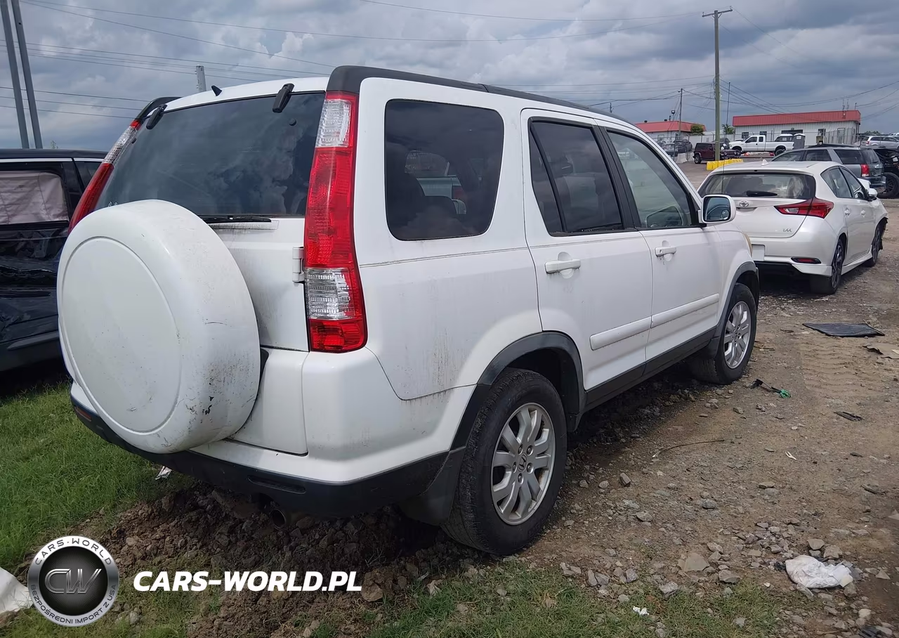 2006 Honda Cr-V Se VIN:JHLRD78976C044823 - 4