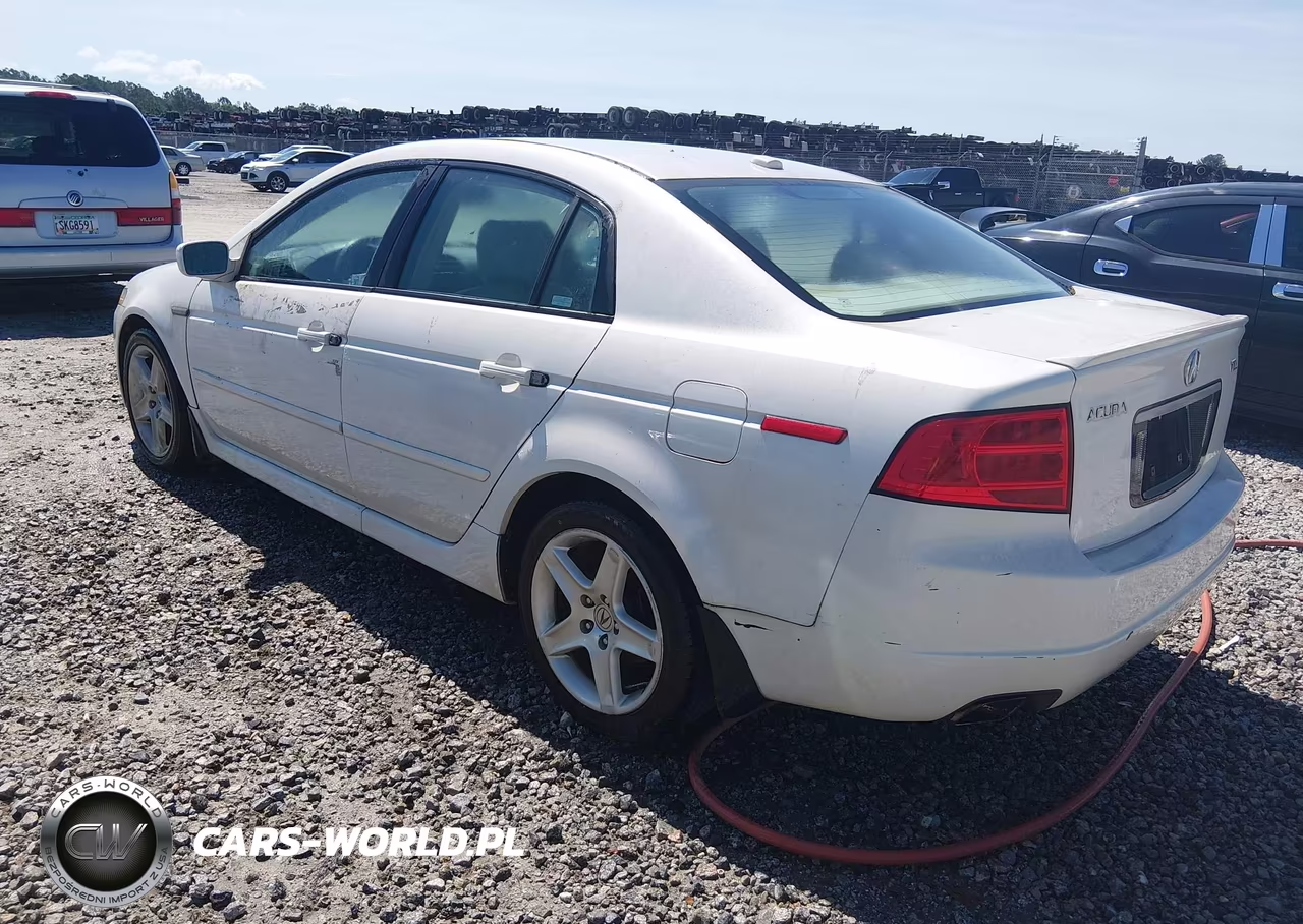 2004 Acura Tl VIN:19UUA66294A061570 - 3