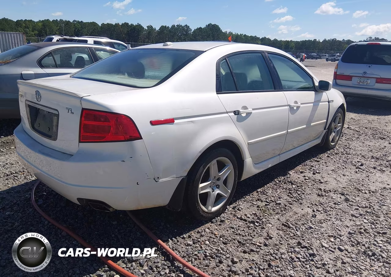 2004 Acura Tl VIN:19UUA66294A061570 - 4