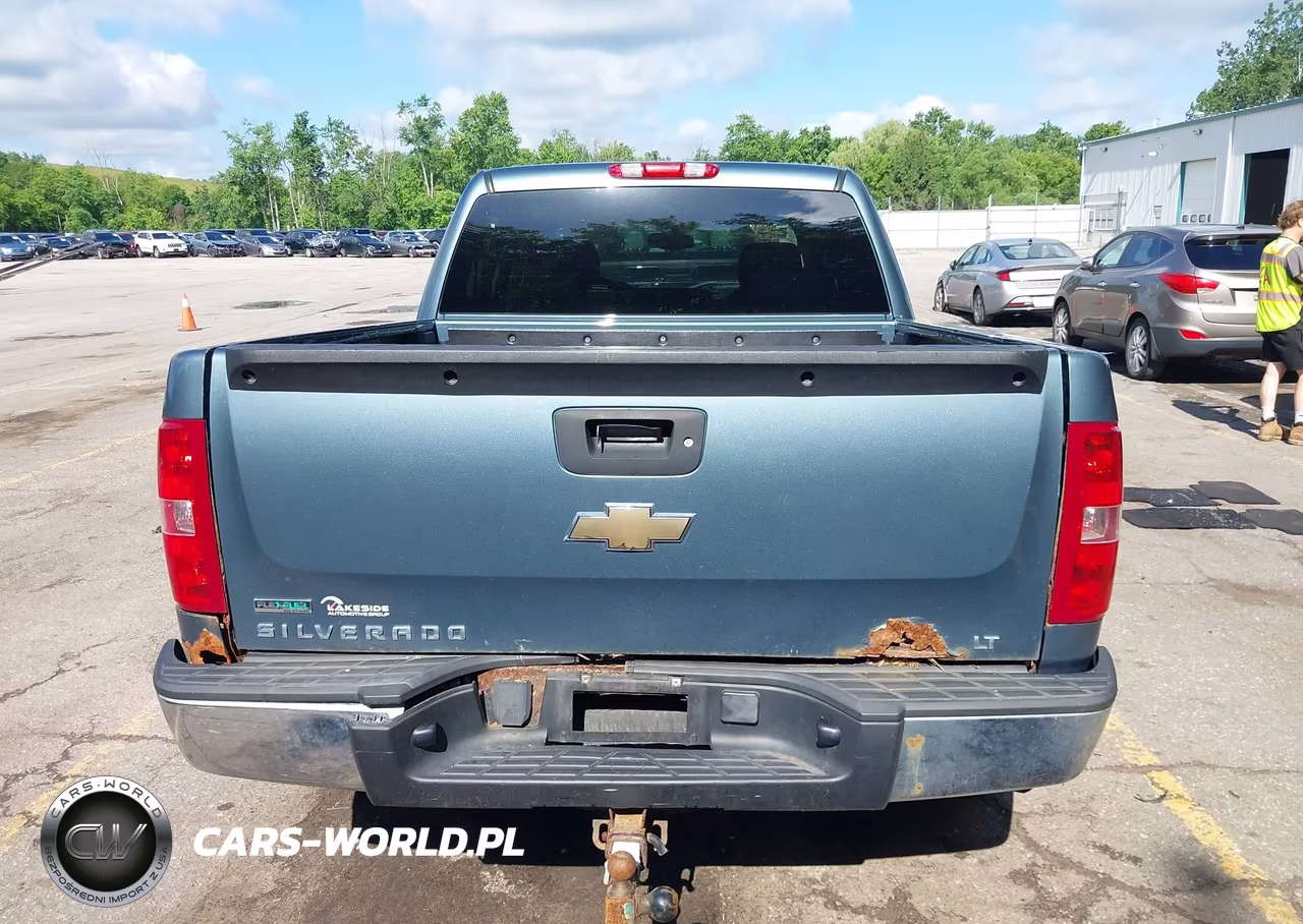 2010 Chevrolet Silverado 1500 Lt VIN:3GCRKSE39AG292938 - 16