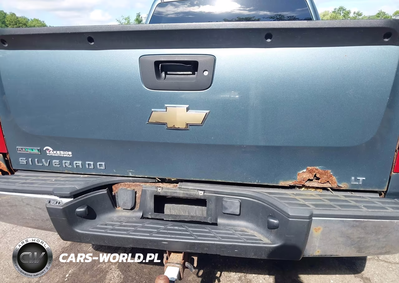 2010 Chevrolet Silverado 1500 Lt VIN:3GCRKSE39AG292938 - 19