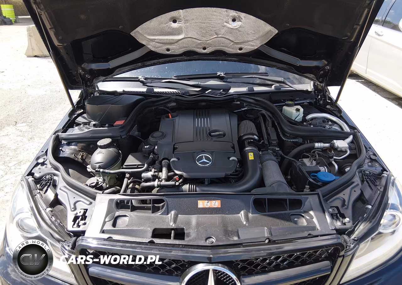 2012 Mercedes-Benz C 250 Luxury-Sport VIN:WDDGF4HB1CA599652 - 10
