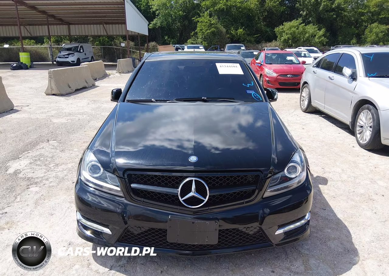 2012 Mercedes-Benz C 250 Luxury-Sport VIN:WDDGF4HB1CA599652 - 12