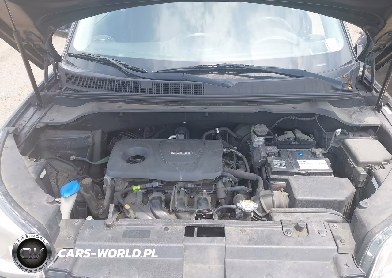 2017 Kia Soul VIN:KNDJN2A26H7502029 - 10