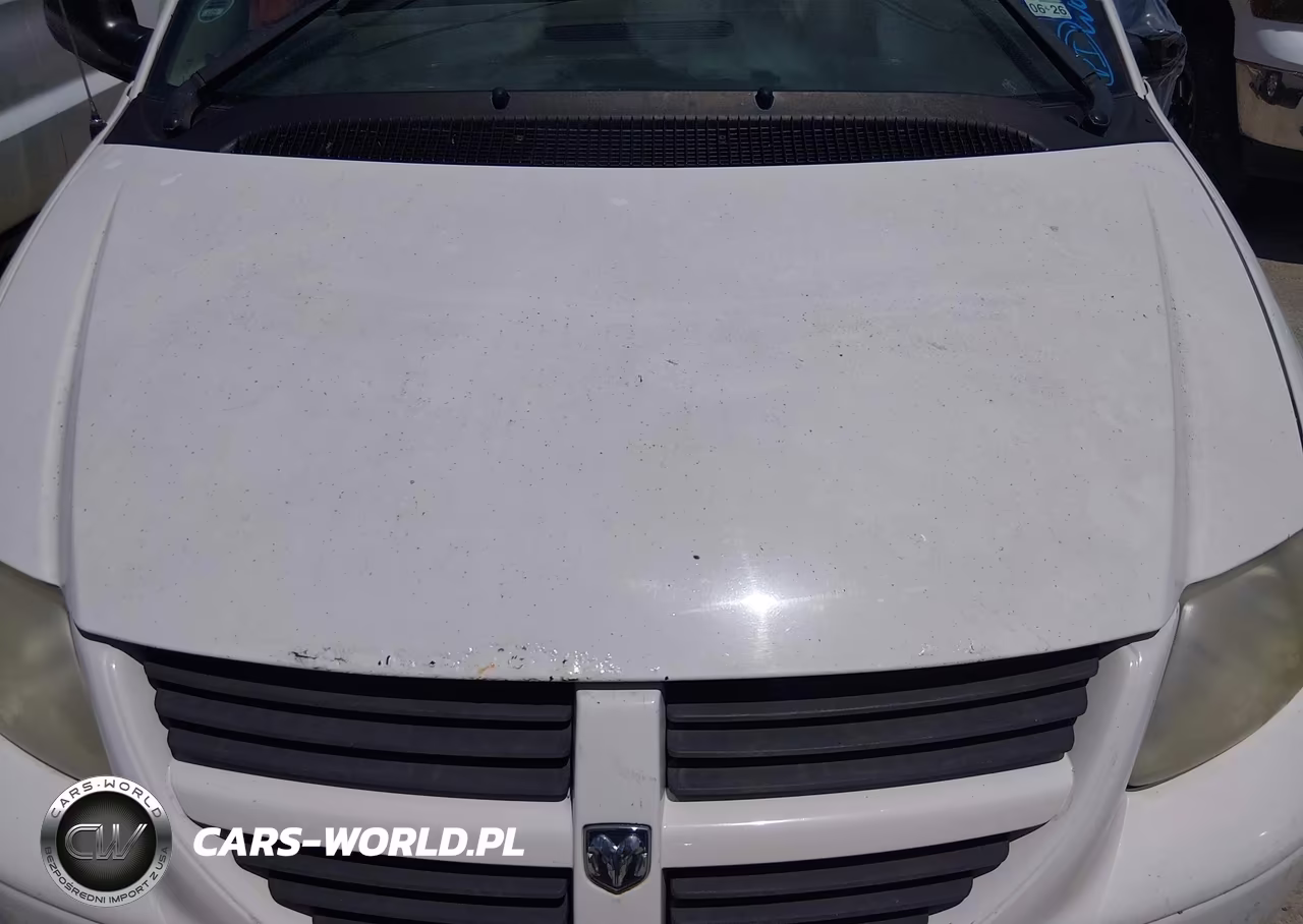 2005 Dodge Grand Caravan Se VIN:1D4GP24R15B252305 - 10