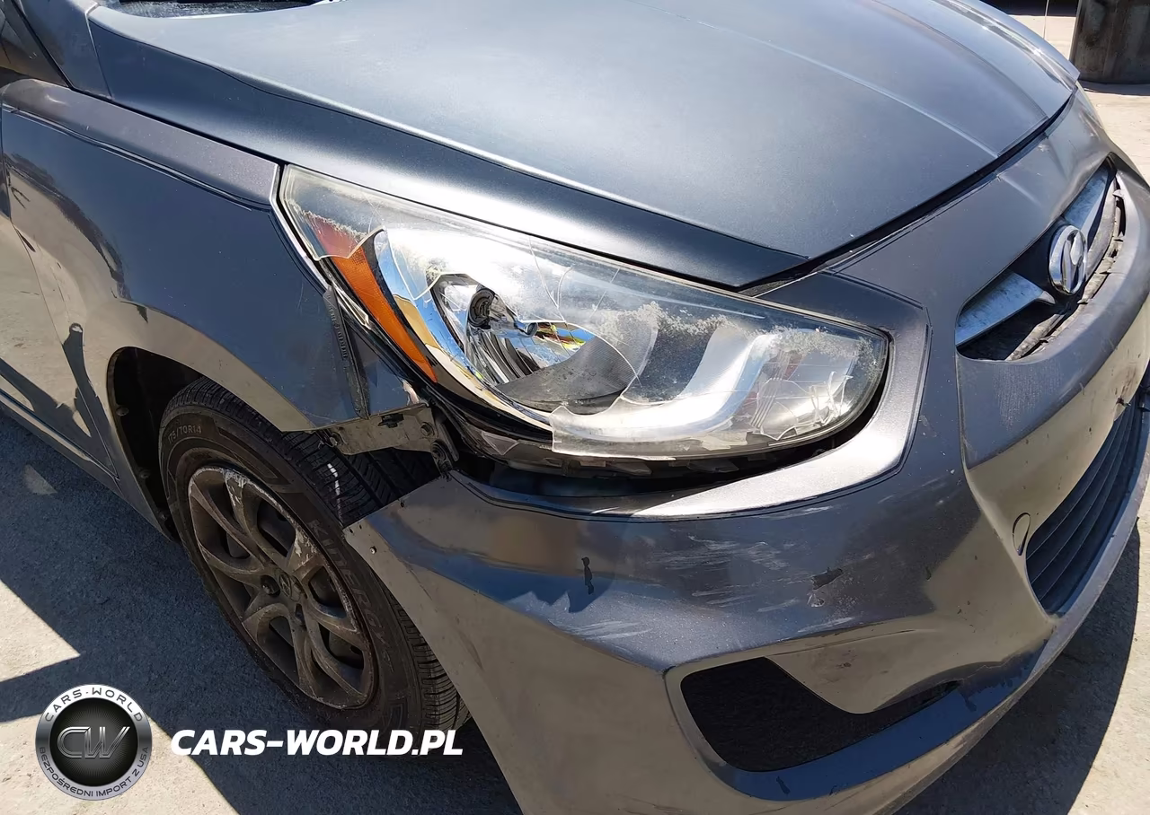 2013 Hyundai Accent Gs VIN:KMHCT5AE8DU066060 - 12