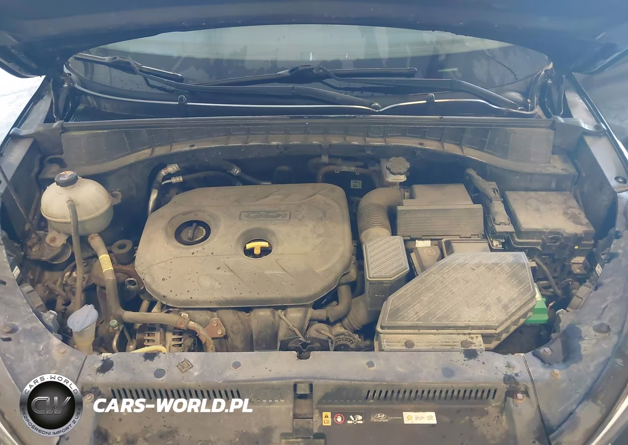 2018 Hyundai Tucson Se VIN:KM8J23A46JU659899 - 10