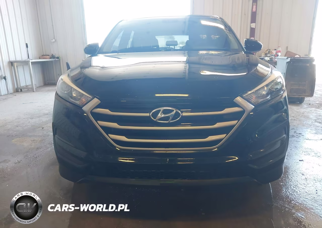 2018 Hyundai Tucson Se VIN:KM8J23A46JU659899 - 12