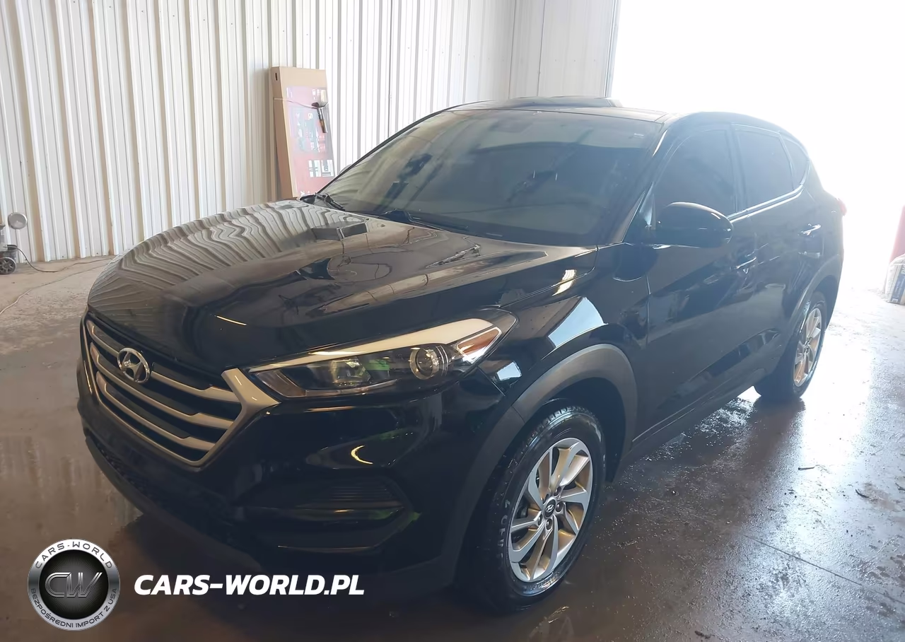 2018 Hyundai Tucson Se VIN:KM8J23A46JU659899 - 2