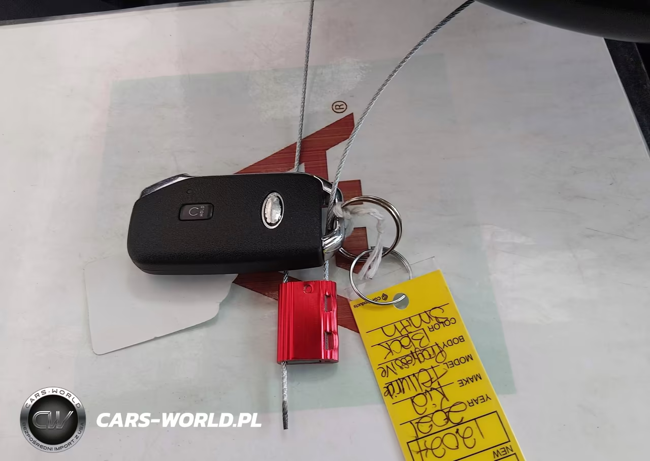 2021 Kia Telluride Lx VIN:5XYP24HC1MG122302 - 11