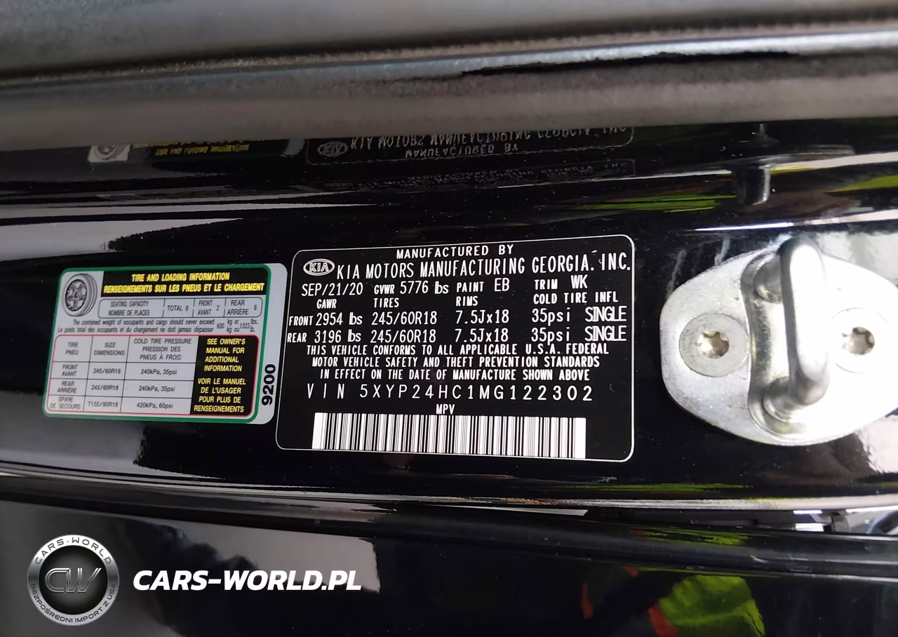 2021 Kia Telluride Lx VIN:5XYP24HC1MG122302 - 9