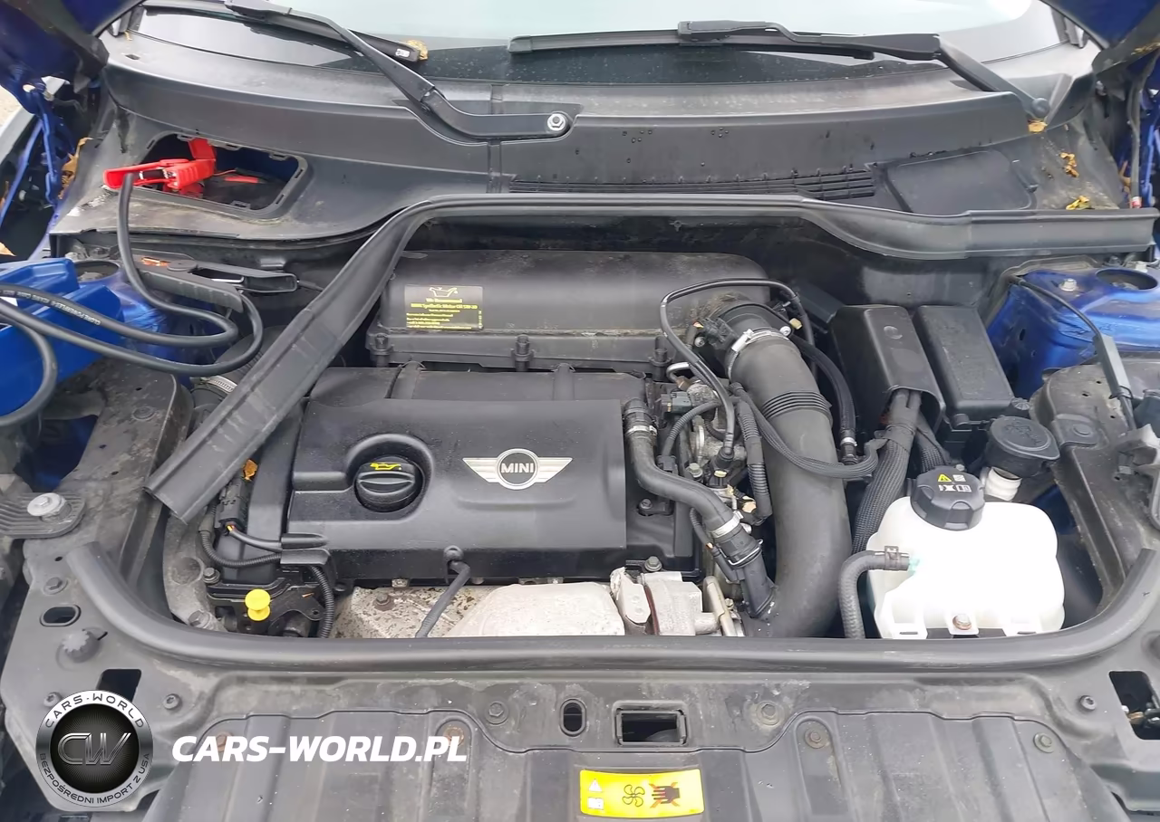 2014 Mini Paceman Cooper S VIN:WMWSS5C50EWN49772 - 10