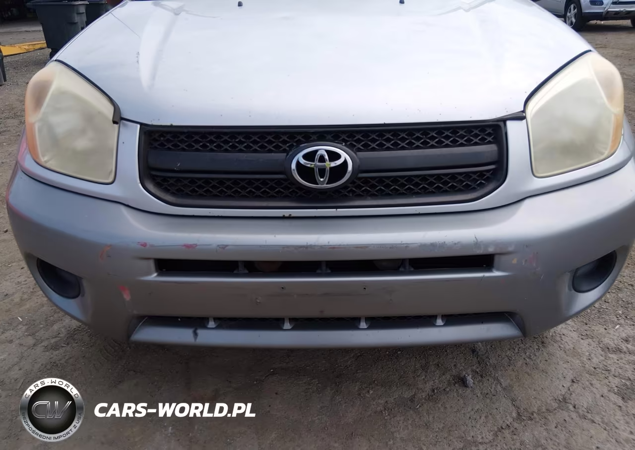 2004 Toyota Rav4 VIN:JTEGD20V940031498 - 6
