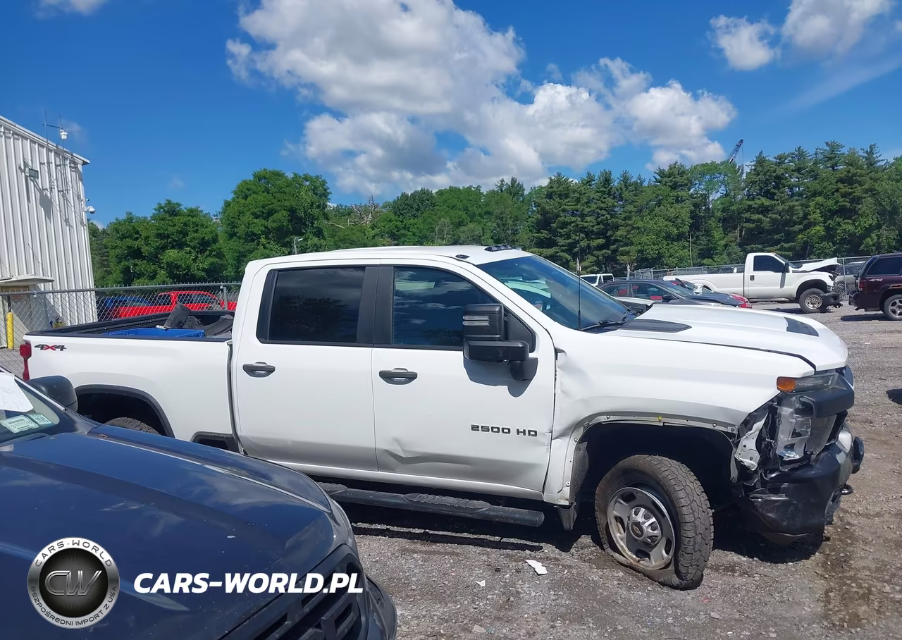 2020 Chevrolet Silverado 2500Hd 4Wd Standard Bed Wt VIN:1GC1YLE74LF111141 - 13