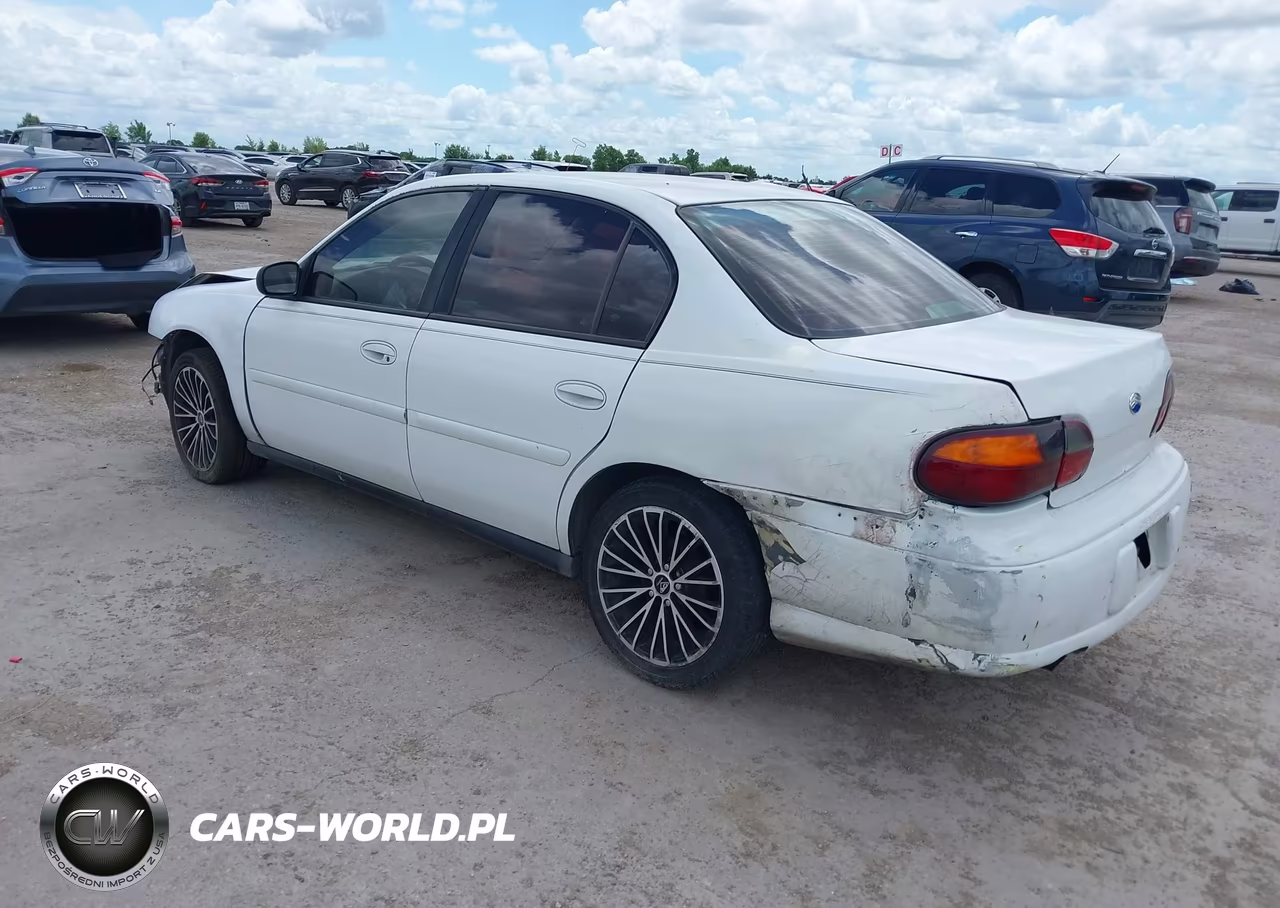 2005 Chevrolet Classic VIN:1G1ND52FX5M217637 - 3