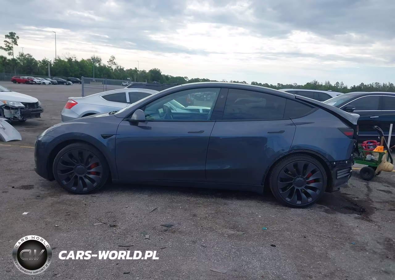 2023 Tesla Model Y Performance Dual Motor All-Wheel Drive VIN:7SAYGDEF4PF861702 - 12
